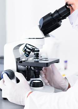 Laboratorio